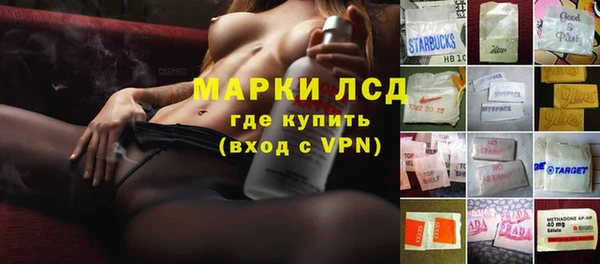 дмт Алзамай