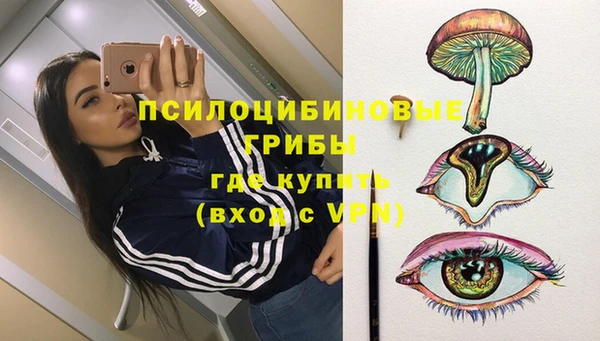 прущая мука Нея
