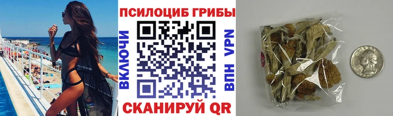 купить наркотик  Нолинск  Галлюциногенные грибы Psilocybine cubensis 